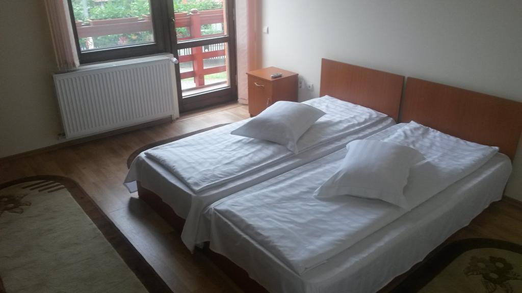 Pensiunea Adi Sapinta Room photo