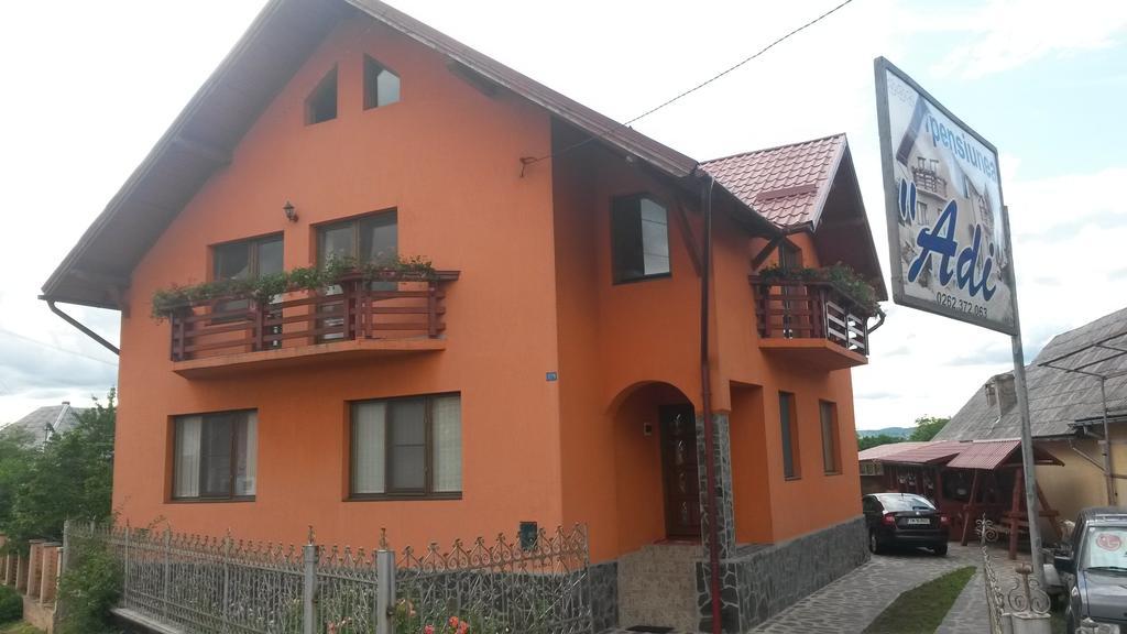 Pensiunea Adi Sapinta Exterior photo